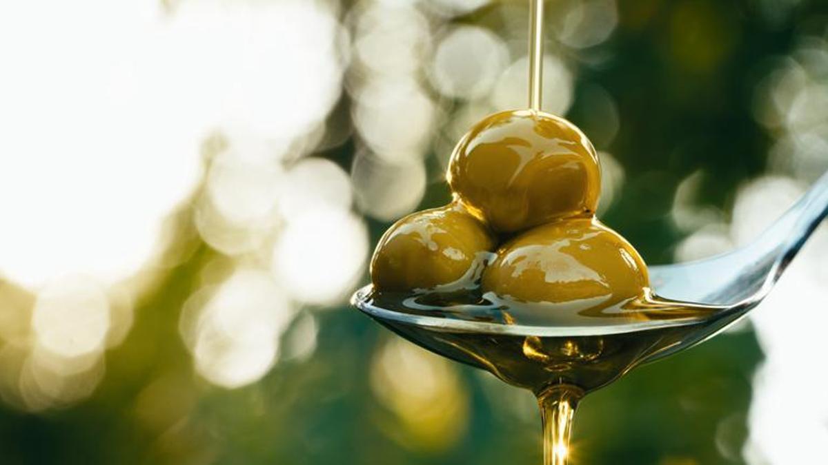 Türkiye'nin hazinesi 'sıvı altın' zeytinyağı! Dünyanın en iyisi bu ilçede yetişenler seçildi