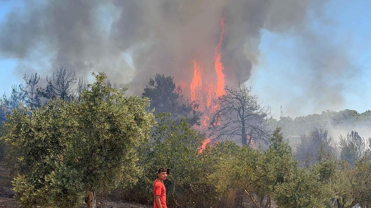 Antalya Aksu'da orman yangını