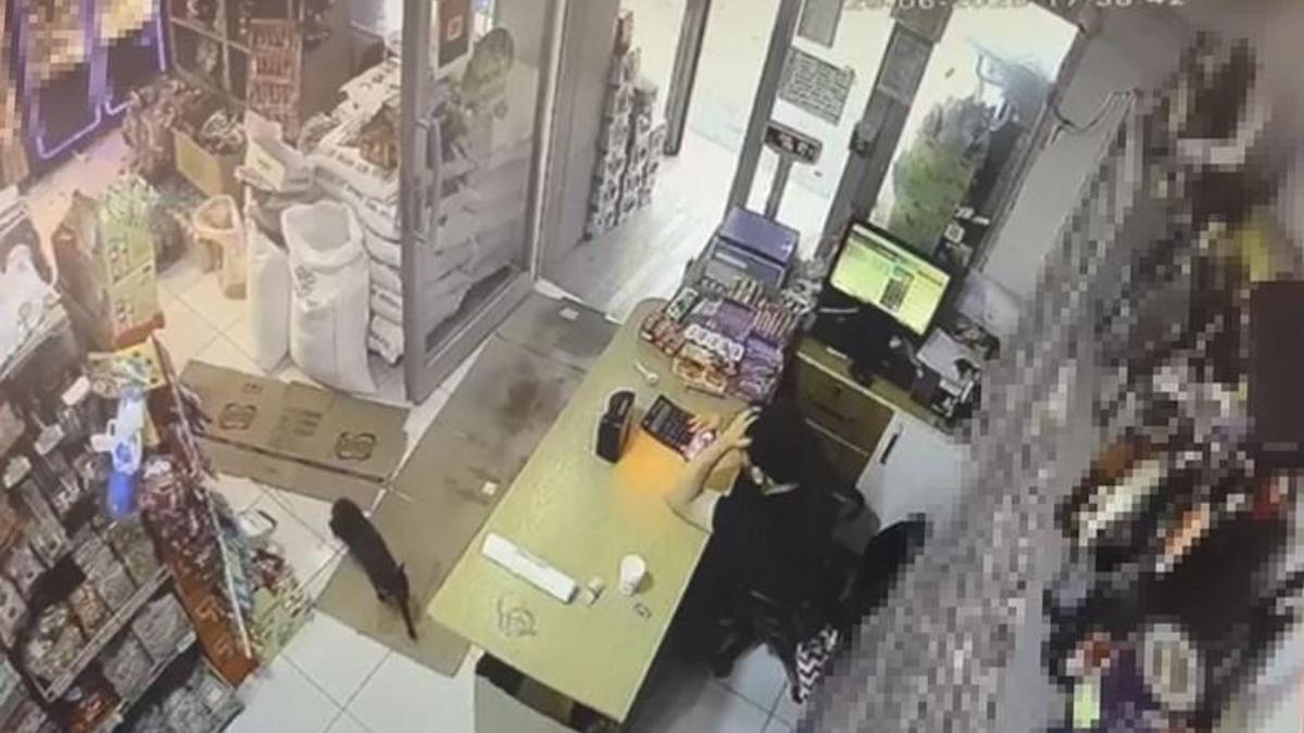 Markette 'cin' paniği: Kutu "kendi kendine" hareket etti! Büyük panik yaşadı, ancak gerçeği öğrenince...