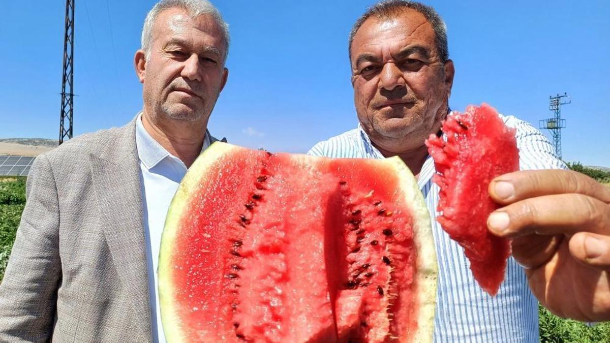 Karpuzun en lezzetlisi burada yetişiyor! 'Baklava' deniyor, tezgahta adını görünce kaçırmayın