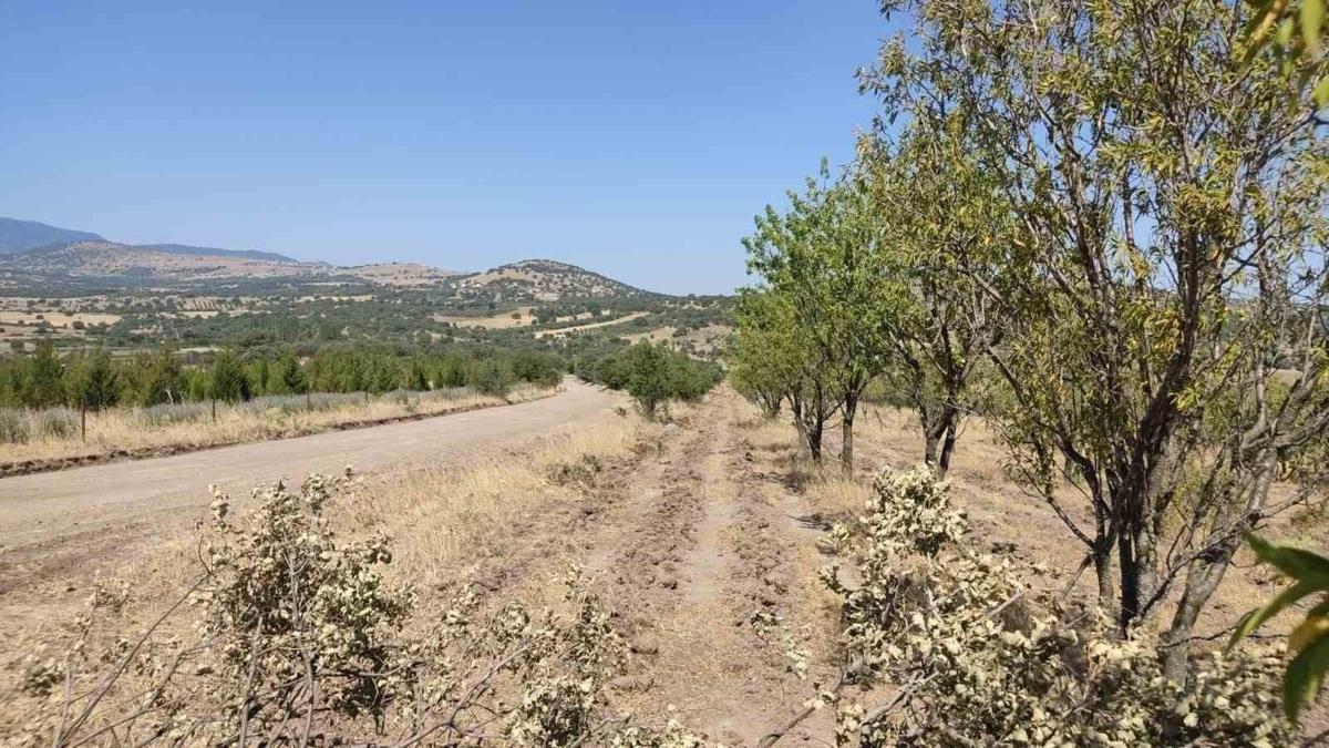 Konya Selçuklu'da yüzde 70 hibe veriliyor: Bu projeye herkes başvurabiliyor