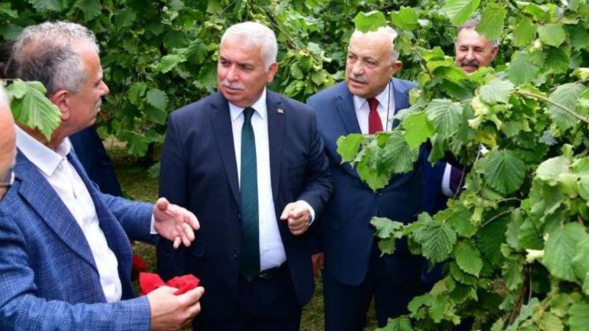 Trabzon Valisi dayanamadı, isyan etti: Fındık zamanı bir araya geliyorlar