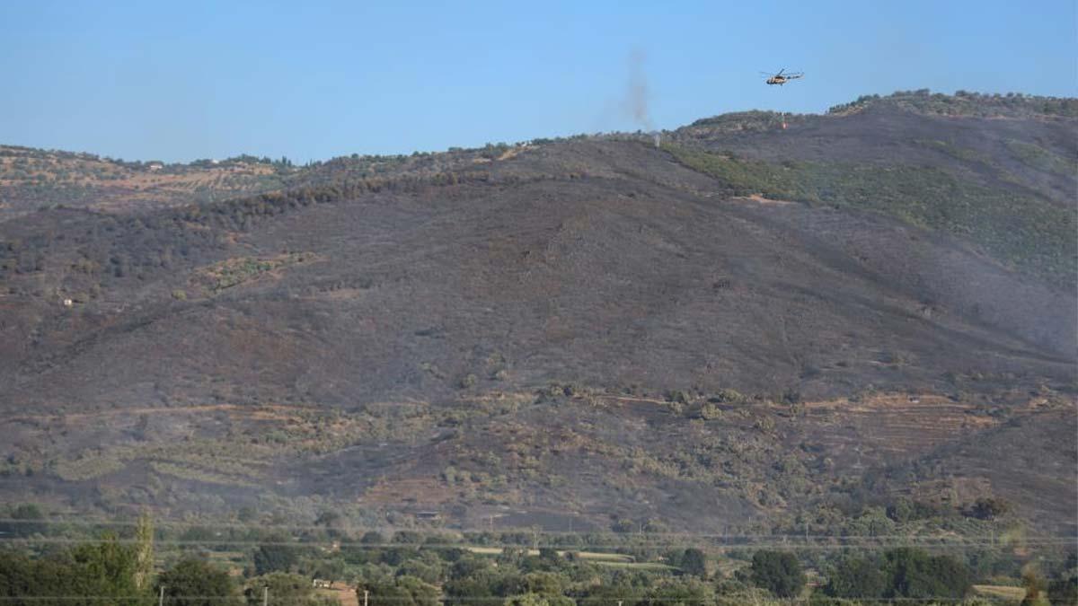 İzmir'in dağları siyaha büründü: Bu Ödemiş'in yaşadığı en büyük felaket!