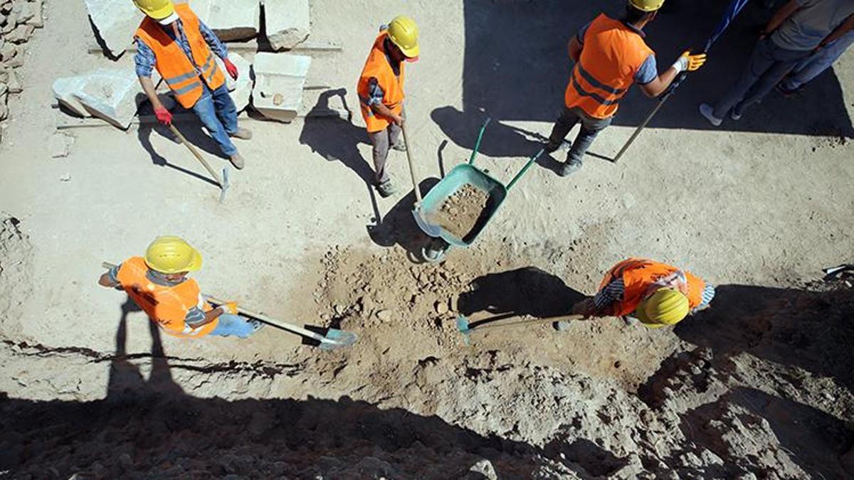 Aydın'da keşfedildi, eşsiz bir özelliği var! Tam 2 bin yıllık, en büyüğü bulundu