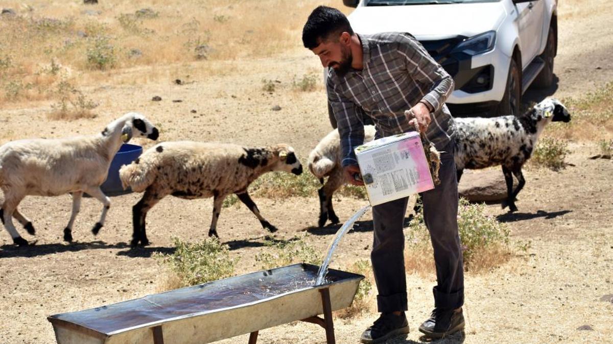 Diyarbakır'da çobanlara büyük destek: Yaylalara tankerlerle su takviyesi!