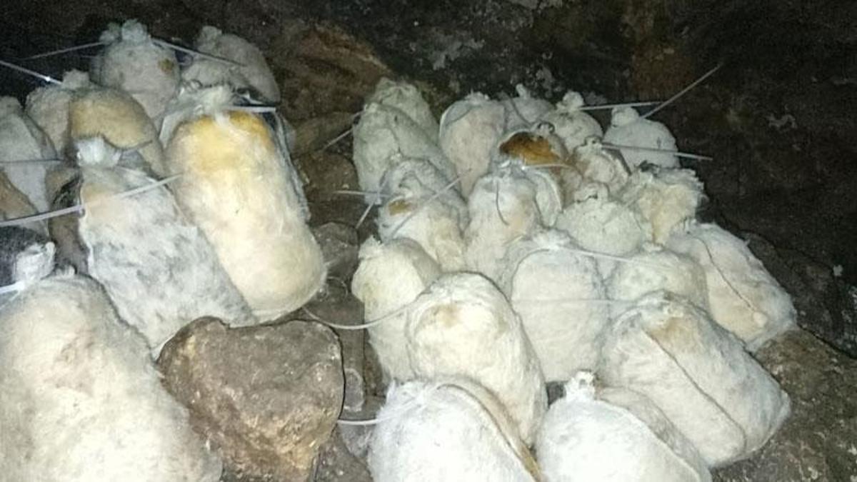 Konya'da bir mahalle bu mağaradan geçiniyor: Kimse bu işe girmek istemez, onlar keyif alıyor