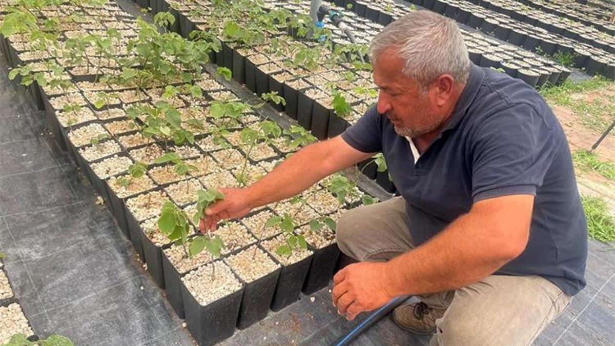 Türkiye'de yapılmayanı Bursa'da deniyorlar: Bir ilke imza attılar! 'Riskli bir iş yapıyoruz'