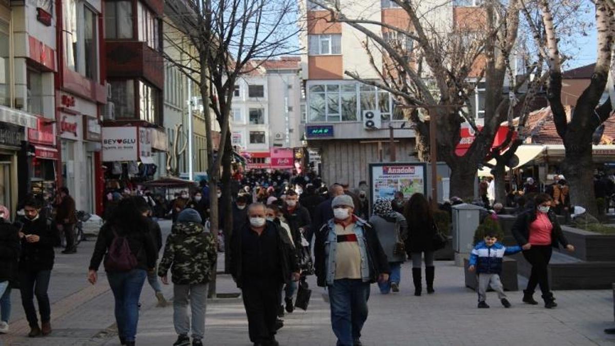 Eskişehir'de yüzlercesi bina diplerinde görüldü: İşlek caddeyi istila ettiler