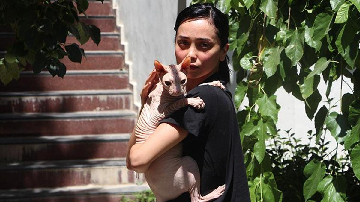 Bulana 2 bin dolar ödül konuldu: Adana'da kayıp kedi Odin için sevinç gözyaşları!