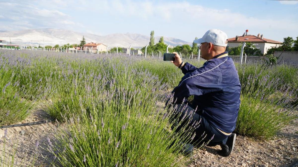 Muhtarın aldığı karar köyün kaderini değiştirdi! 50 dönüm araziyi dönüştürdü, köy ekonomisi ve turizm şaha kalktı!