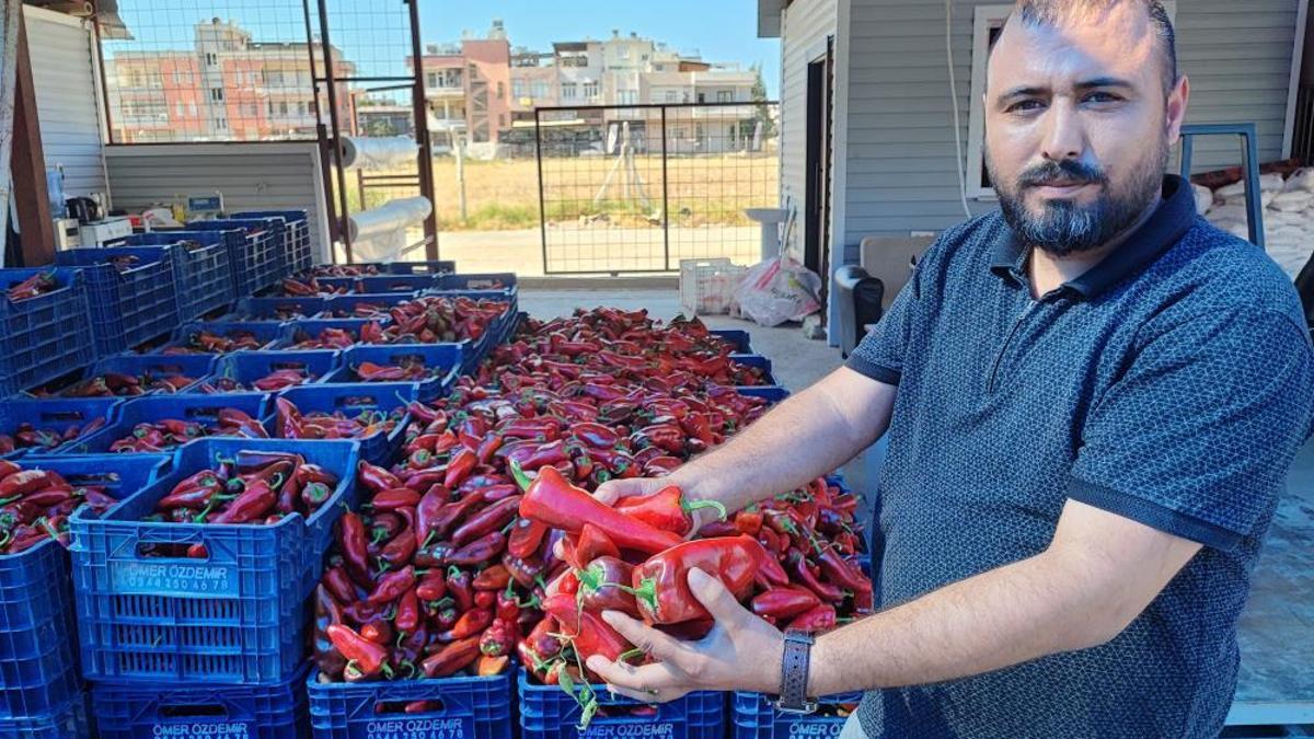Adana'da salça sezonu başladı, ev yapımı lezzeti arayan pazara akın etti!