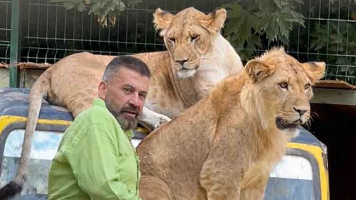 Antalya'daki aslan saldırısının ardından sahibi konuştu: 'İnsanlara saldırmazdı, sosyal bir hayvandı'