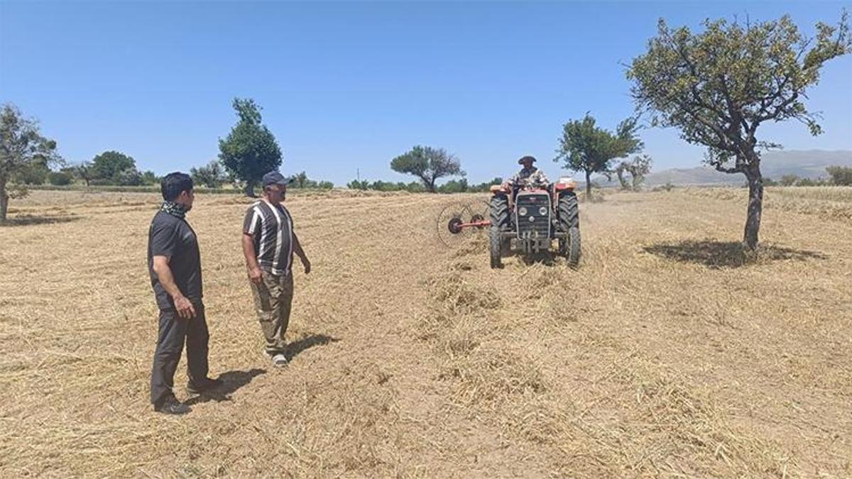 Beyşehir 'de hasat zamanı! Hibe desteğiyle ekildi, üretici karlı çıktı