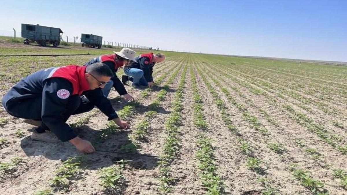 80 yıl sonra başladı: Konya'da 4 ayda 5 metre uzayacak! Milim milim ölçülüyor