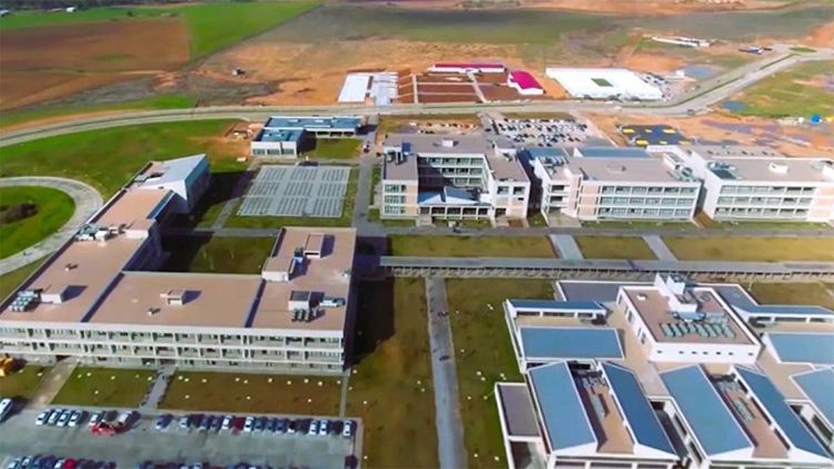 Üniversite tercihlerinde gözler Adana'da: Yapay Zeka Mühendisliği zirvede!