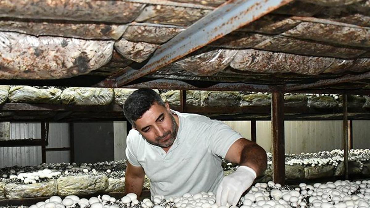 Batmanlı girişimci köyünde kurduğu tesisle işsizliği bitirdi! İstanbul'da işçiydi memleketinde patron oldu