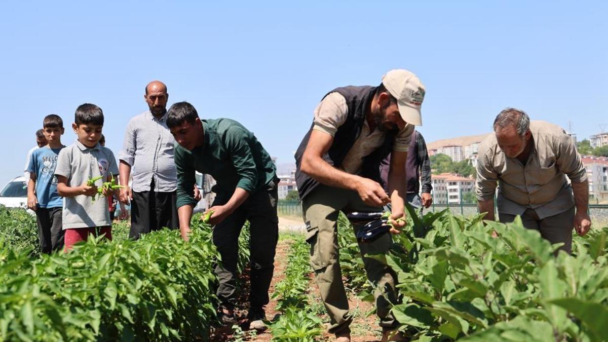 "Vatandaş sebzeyi pahalı almasın" dedi! Market ve hal fiyatlarının yüzde 50 altına satacak