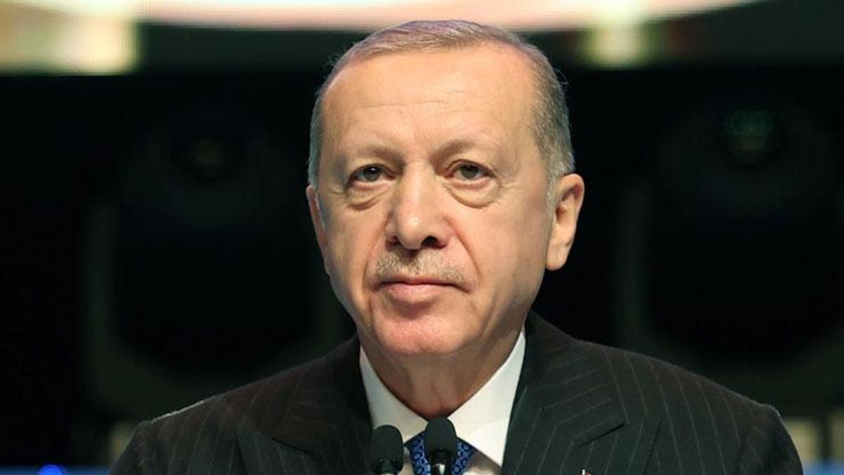 Cumhurbaşkanı Erdoğan, Avusturya Başbakanı Stocker ile görüştü