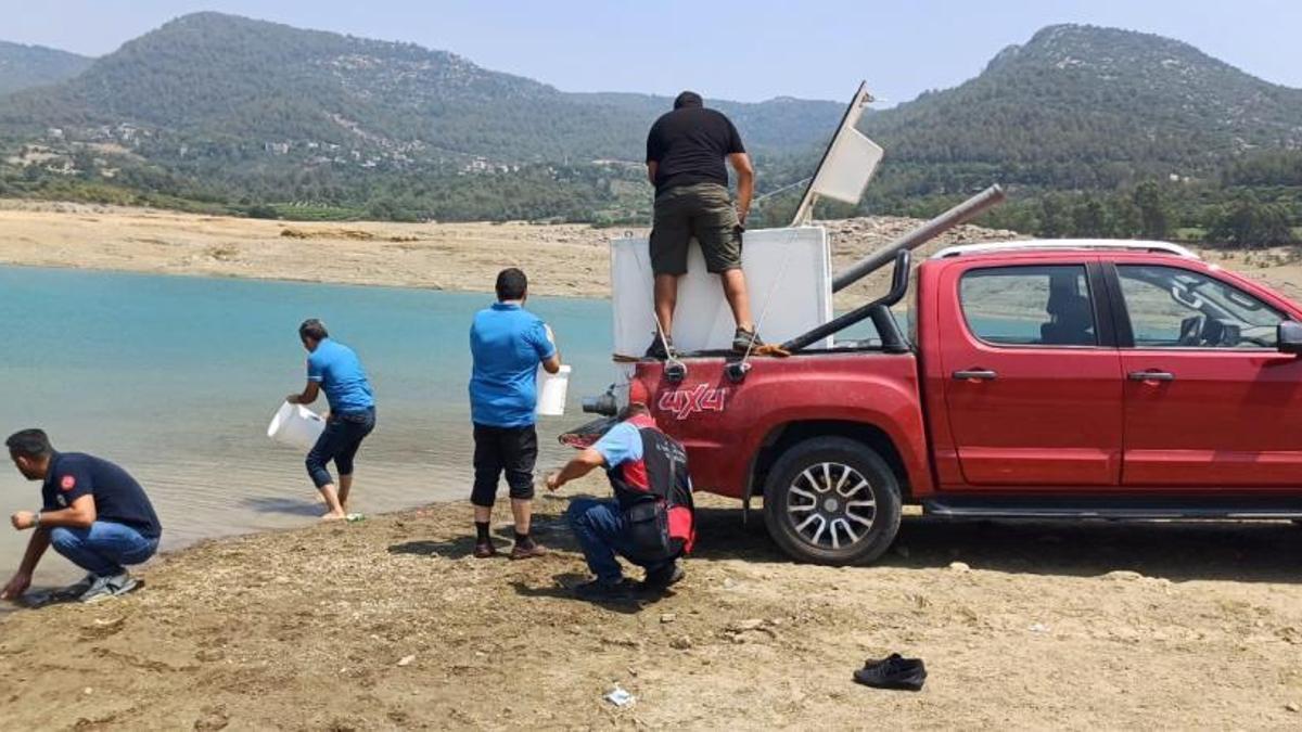 Kilgen Barajı'na 321 bin sazan yavrusu bırakıldı