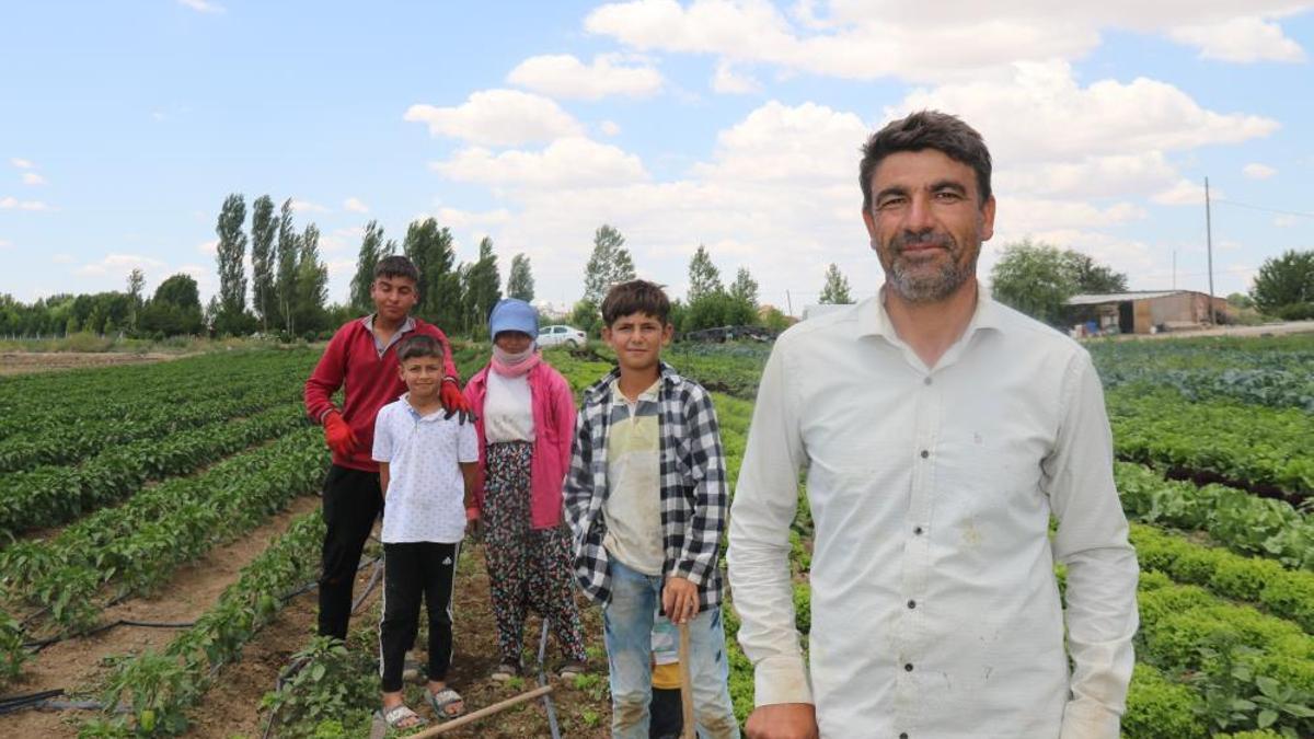 40 derecelik sıcaklarda zorlu mücadele! Ekmek paralarını topraktan çıkarıyorlar