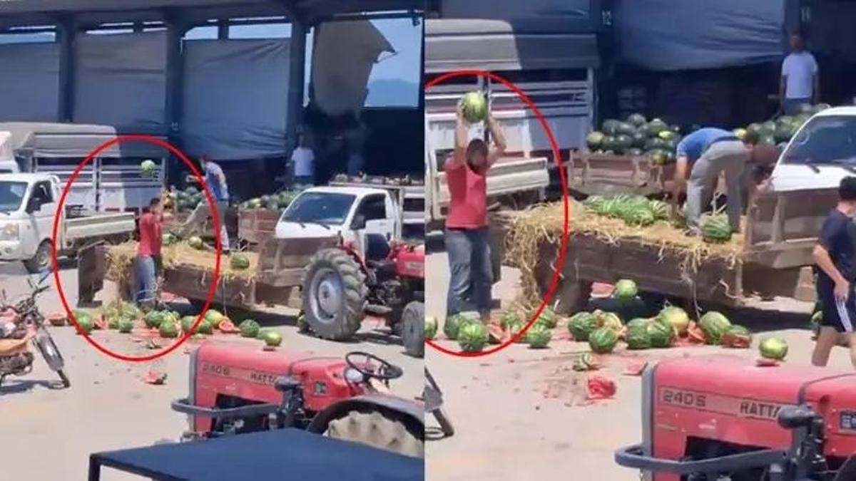 Sakarya'da karpuzları parçaladılar, milyonlarca lira ceza geliyor!