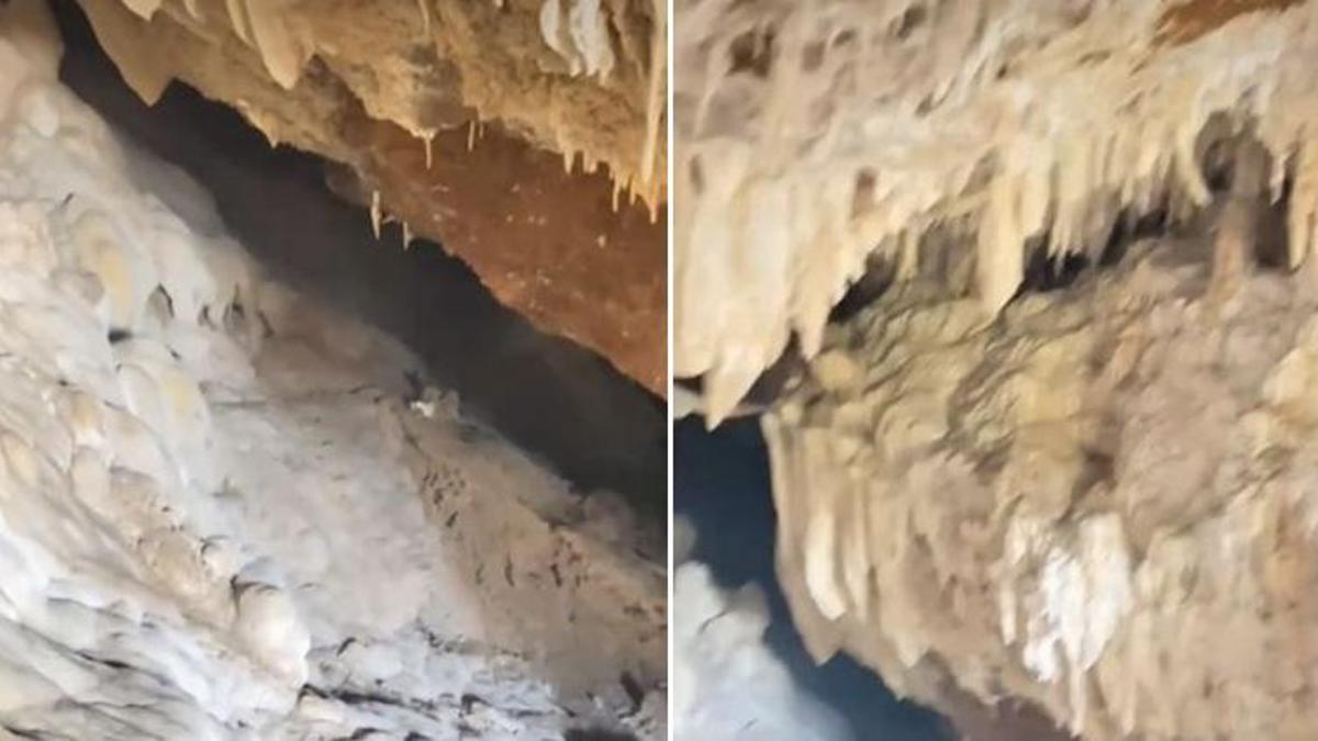 Feke'de orman yolu açılırken milyonlarca yıllık mağara keşfedildi! Doğa harikası koruma bekliyor