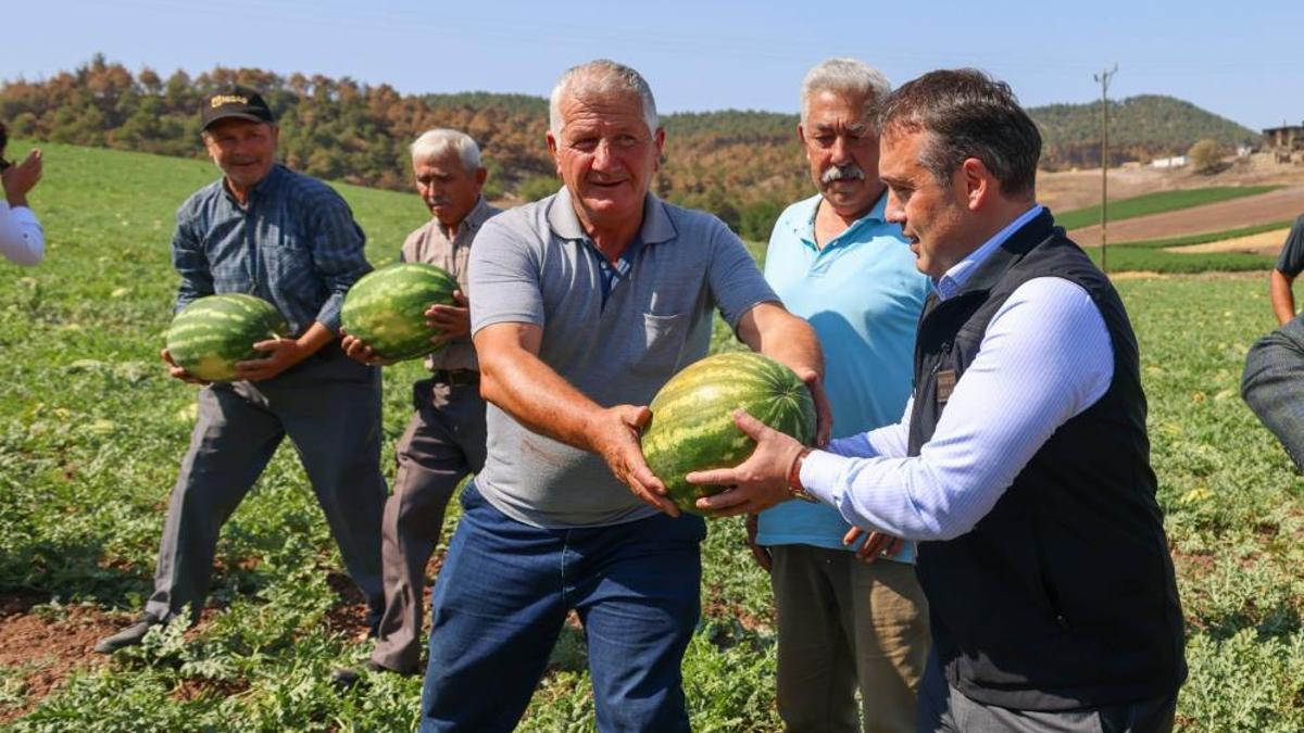 Tescilli karpuzda hasat zamanı! Tarla 1 lira markette 10 lira