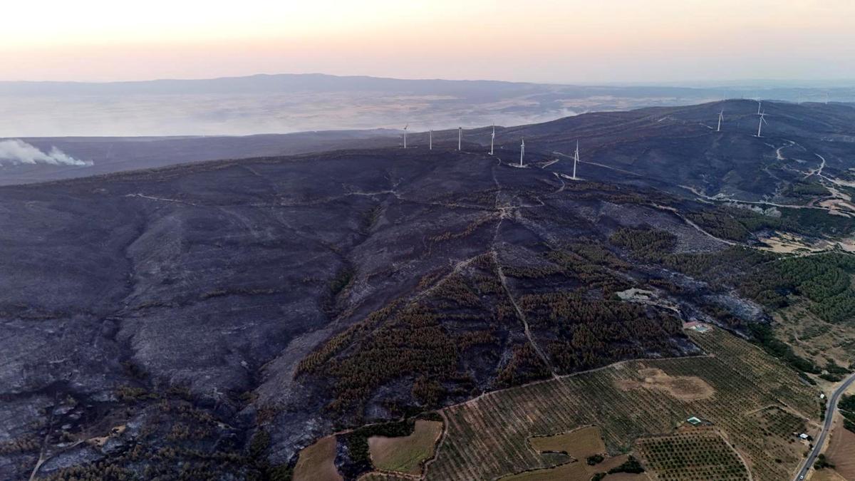 Tekirdağ'daki orman yangını kontrol altına alındı