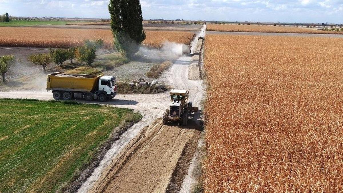 Türkiye'nin ihtiyacının yüzde 65'ini Konya karşılıyor: Söküm, yıkama ve seçmesi başladı