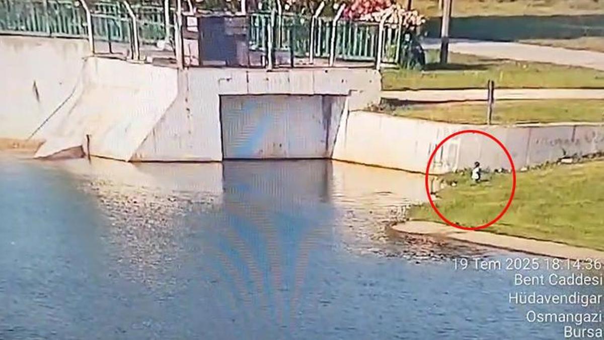 Bursa'da parkta korku dolu anlar saniye saniye görüntülendi! Başkan açıkladı: Ödüllendirilecek