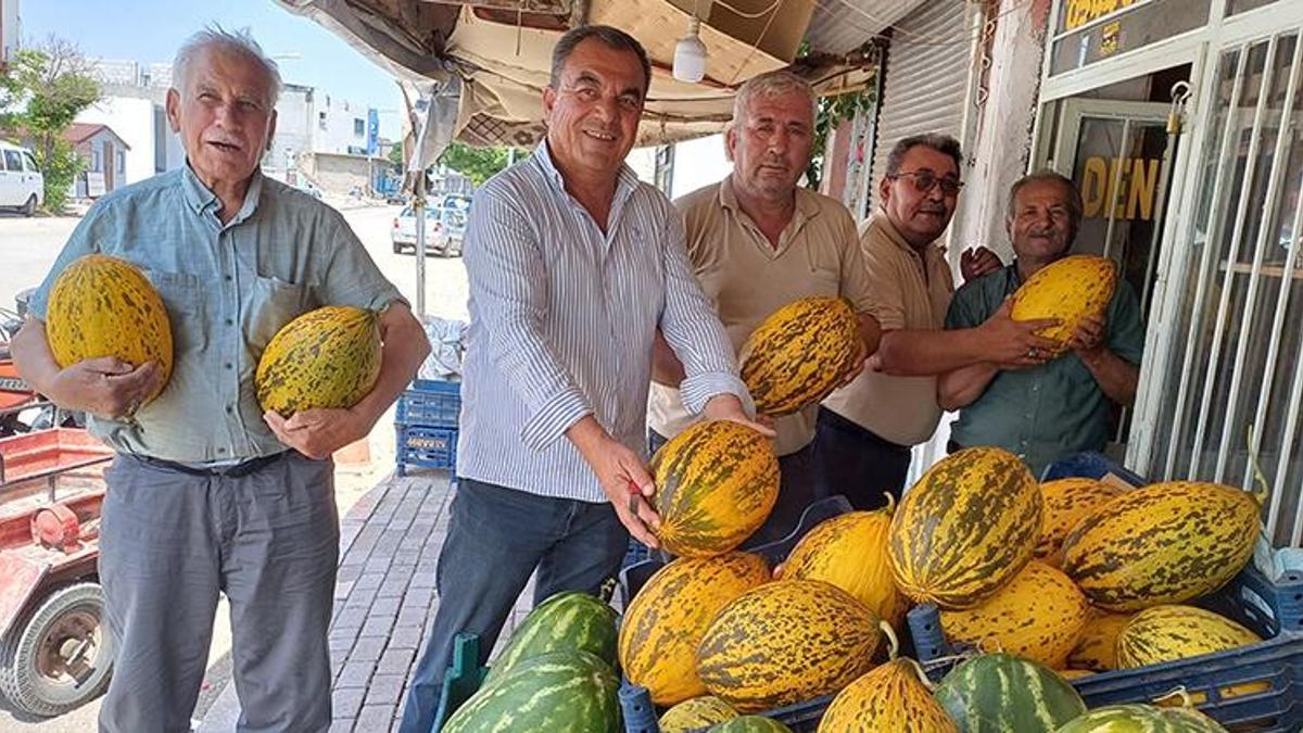Araban baklavasında hasat başladı! 10 liradan satışta