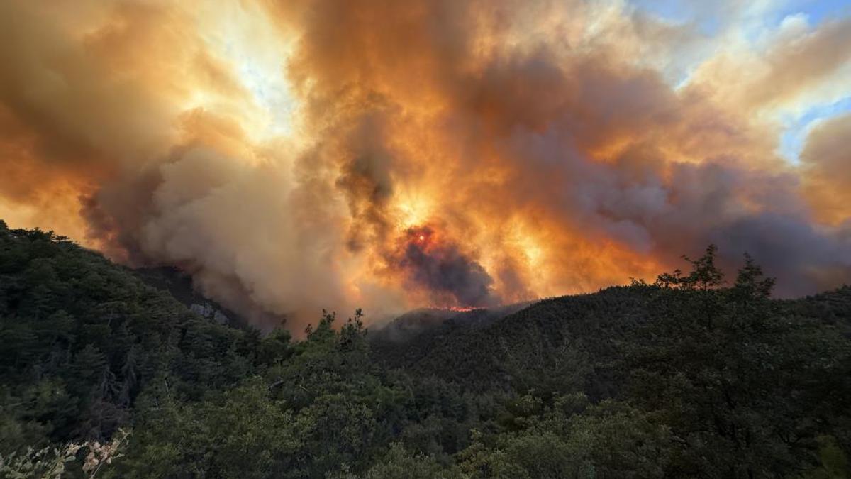 Sakarya’daki orman yangınına müdahale sürüyor! Bir mahalle tahliye ediliyor