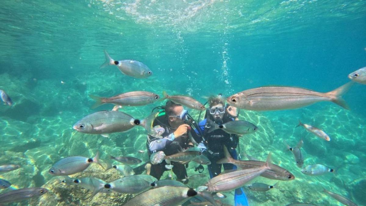 Tatile gidenlerin uğrak yeri oldu! Dalış turizmine ilgi artıyor