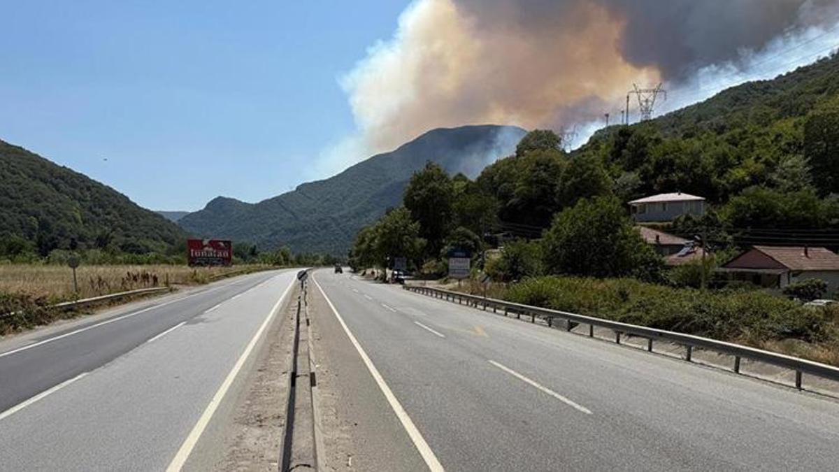 Sakarya'nın Geyve ilçesinde orman yangını büyüdü! D-650 karayolunun Bilecik yönü trafiğe kapandı