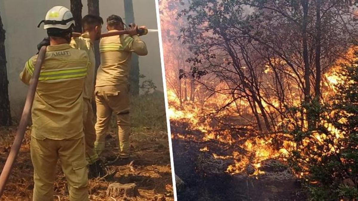 Eskişehir'deki yangında şehit olan ekibin son görüntüsü ortaya çıktı! AKUT görevlilerinin yürek burkan fotoğrafı