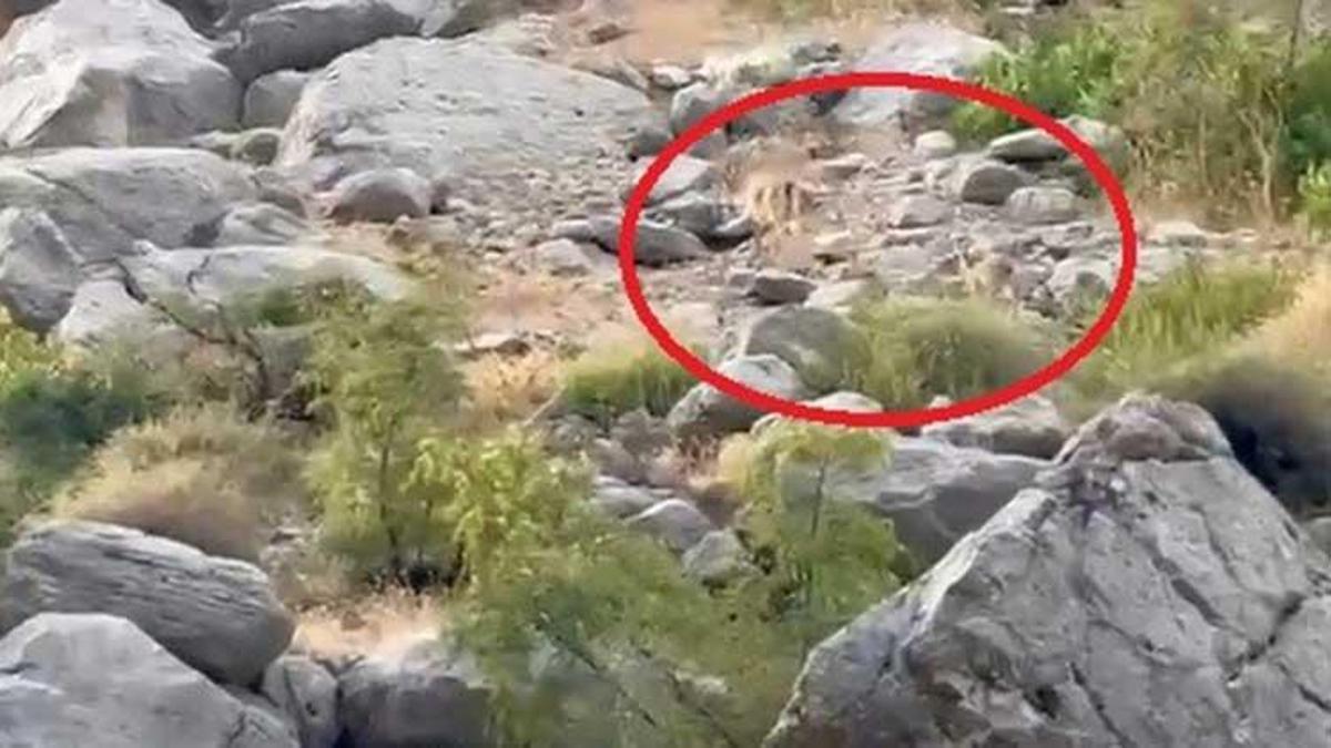 Dünyada ikinci, Erzincan'da tek! Karanlık Kanyon’unda şaşırtan görüntü