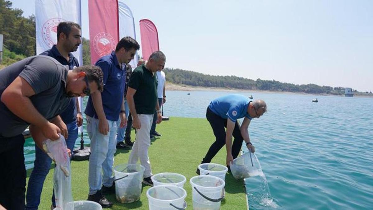 Adana'dan 12 ile can suyu: 10.5 milyon sazan yavrusu göletlere bırakıldı