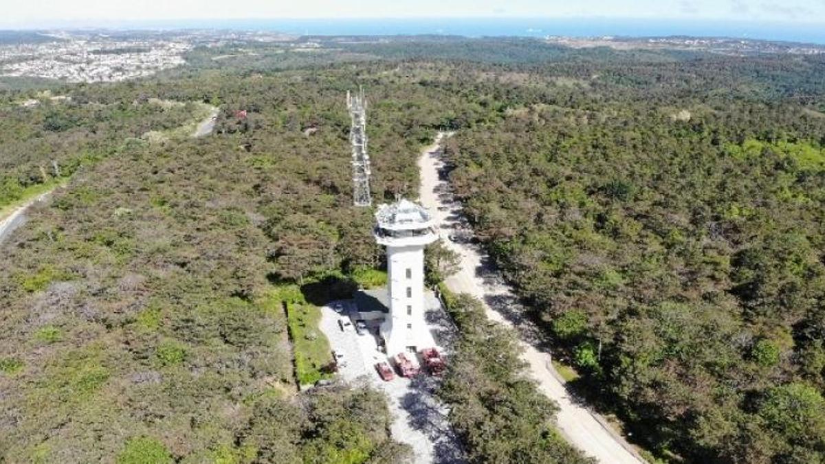 Orman Genel Müdürlüğü personel alımı var mı? Başvuru şartları neler?