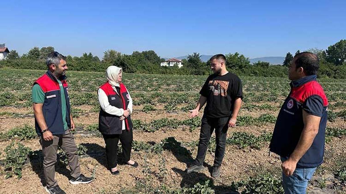 Üniversiteli çiftçi 25 dekar arazide üretime başladı! Yeni nesil tarım uygulamaları dikkat çekiyor