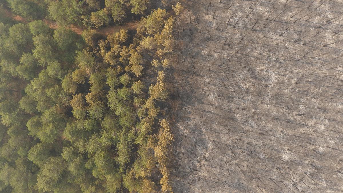 Bursa'daki orman yangını 4'üncü gününde; yanan alanlar dronla görüntülendi