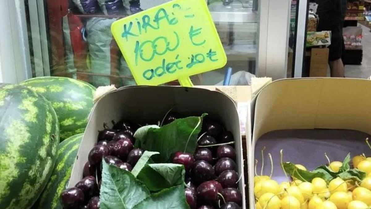 Türkiye'de olmayan Konya'da oldu! Kilosu 1000, tanesi 20 TL'ye satılıyor: Bir ilçe üretiyor