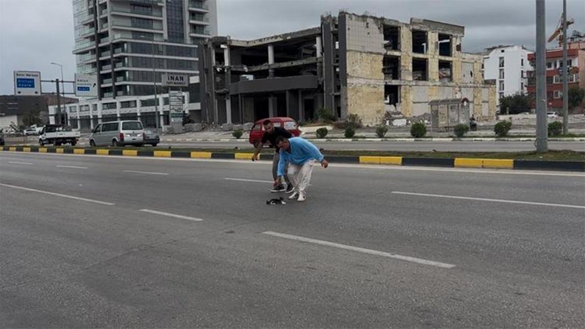 Minibüs şoföründen insanlık dersi! Yolda donup kalan yavru kediyi böyle kurtardı
