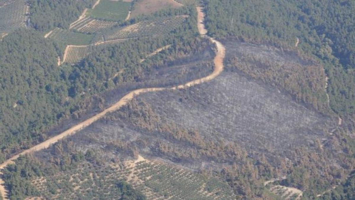 Bursa'da orman yangınları sonrası yeni karar! Valilik ve belediye harekete geçti