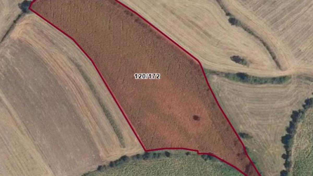Bursa'da 13 bin metrekarelik dev tarla satışa çıktı! Bedeli ve satış tarihi açıklandı