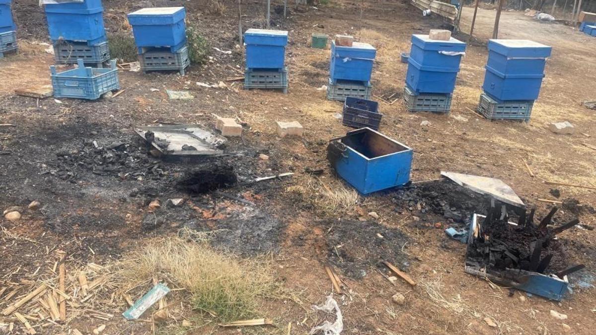 Bursa'da milyonlarca arı ateşe uçtu bir daha dönmedi!