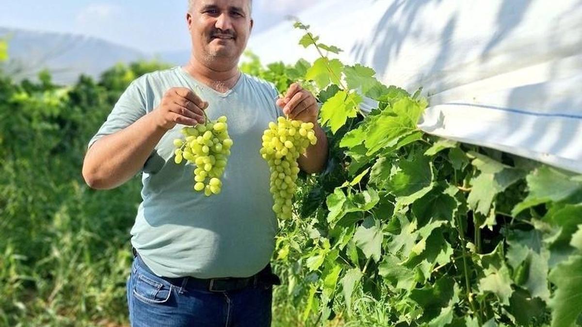 Üzüm sezonu açıldı, üreticiler sosyal medyada tanıtıma başladı