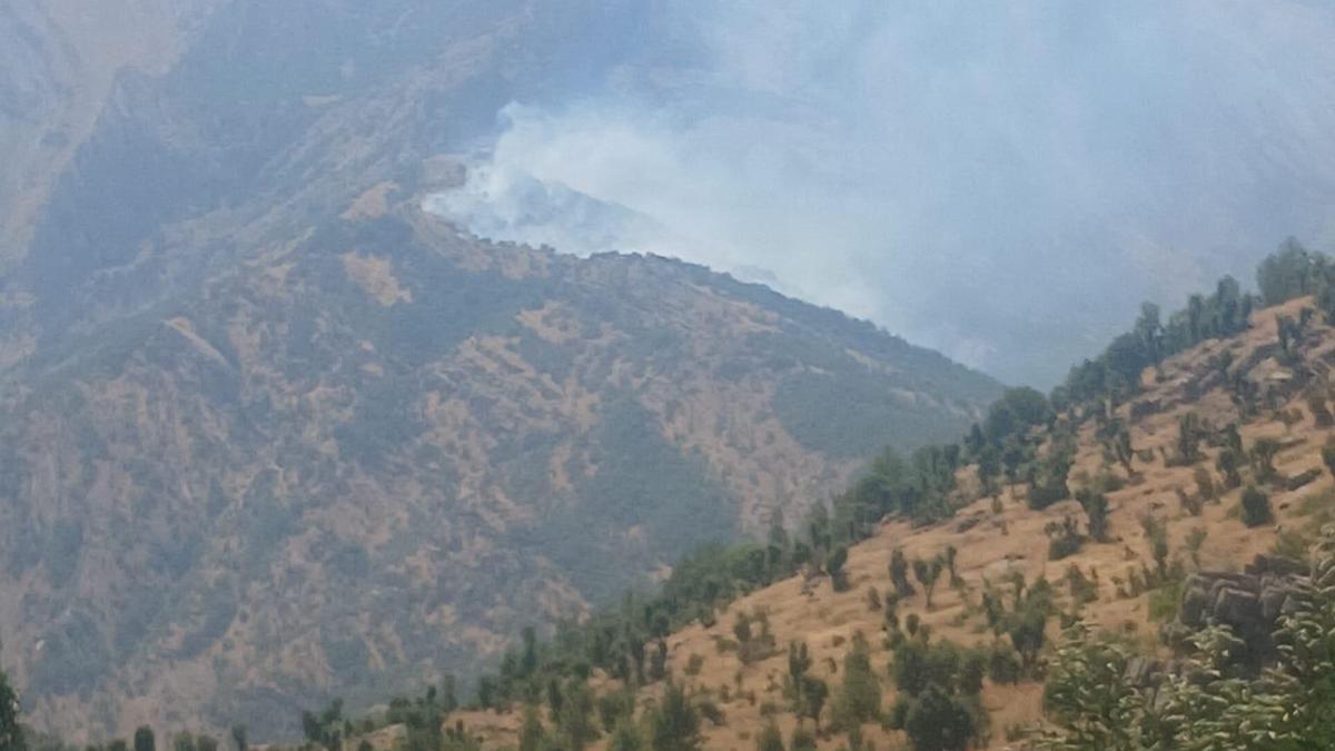 Şırnak’ta ormanda örtü yangını
