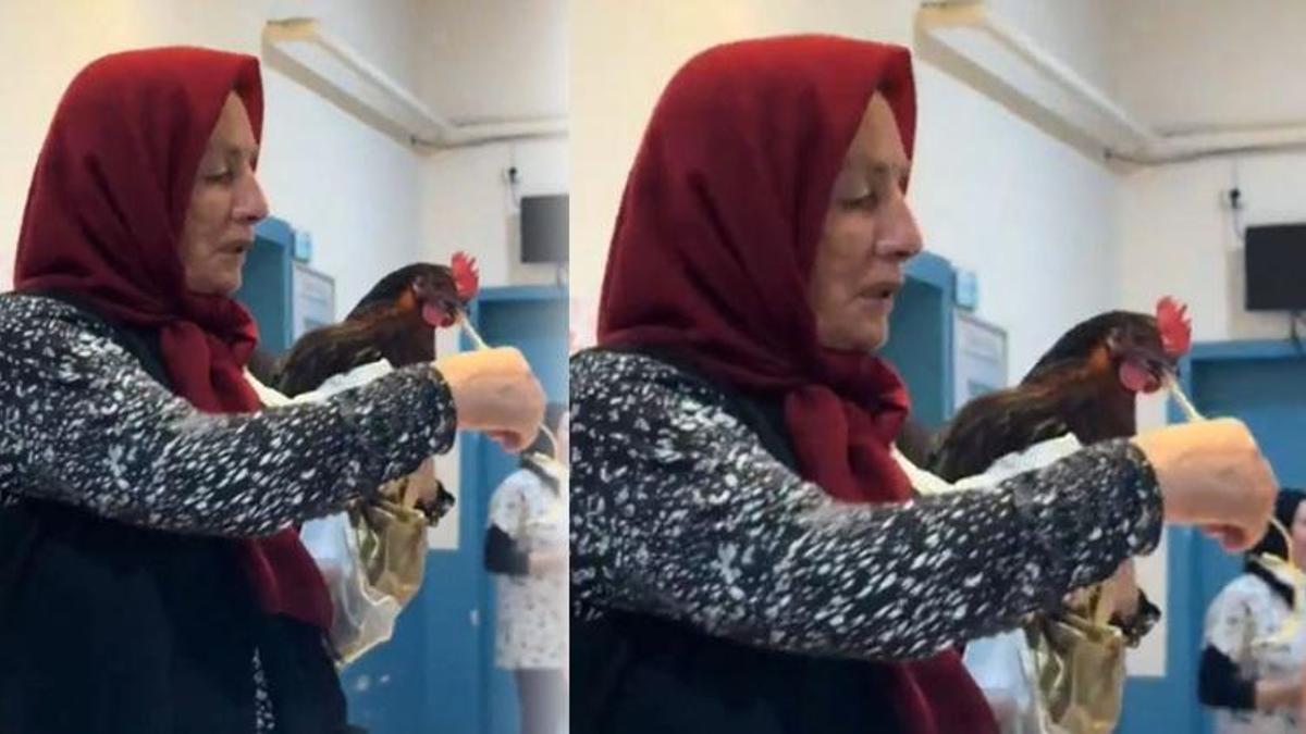 Giresun'da yeni 'davuk' vakası! Boğazına iğne kaçan tavuk hastanede ameliyata alındı