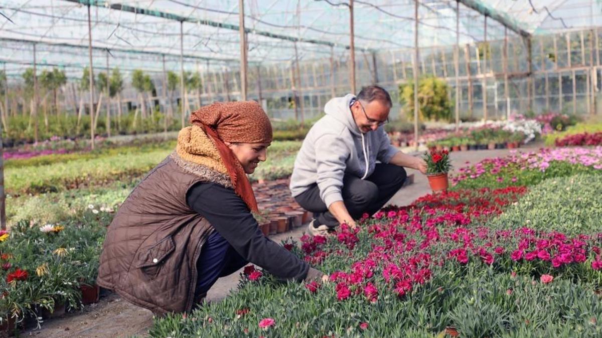 Muğla'da 27 milyon 300 bin çiçek üretildi: Bölge ekonomisine katkı sağlandı