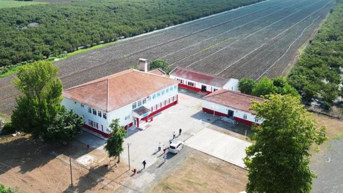 Samsunspor aşkı Çarşamba'ya ulaştı! Her yeri kırmızı beyaza boyadı